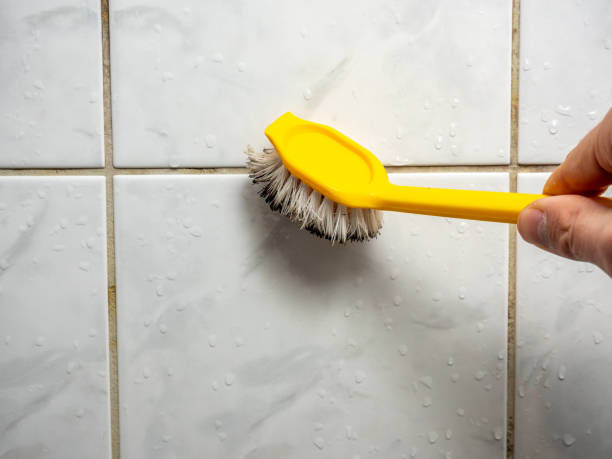 Best Home Mold Removal  in Grand Terrace, CA