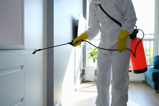 Best Crawl Space Mold Removal  in Grand Terrace, CA