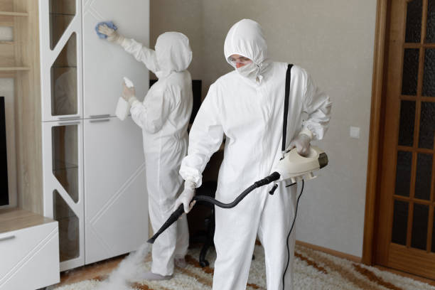 Best Black Mold Removal  in Grand Terrace, CA
