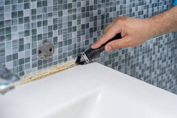 Professional Mold Removal in Grand Terrace, CA
