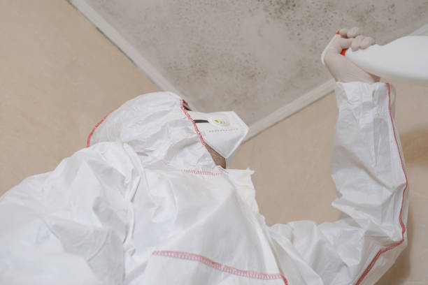 Best Local Mold Removal Service  in Grand Terrace, CA